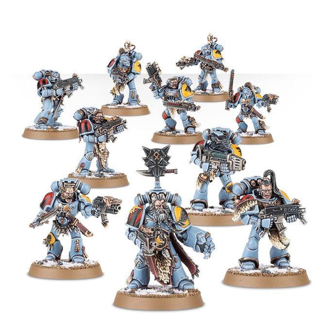 53-06 Space Wolves Grey Hunters