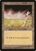 Plains (Bird)