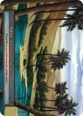 Oasis