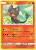 Litten (27)