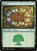 Forest (574)