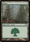 Forest (28)