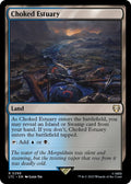 Choked Estuary