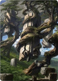 Forest Art Card (20/81)