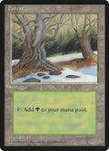 Forest (330)