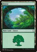 Forest (310)