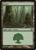 Forest (28)