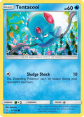 Tentacool