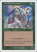Southern Elephant