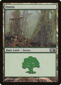 Forest (246)