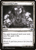 Blossoming Calm (Showcase)