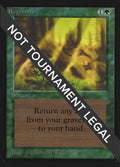 Regrowth (CE)