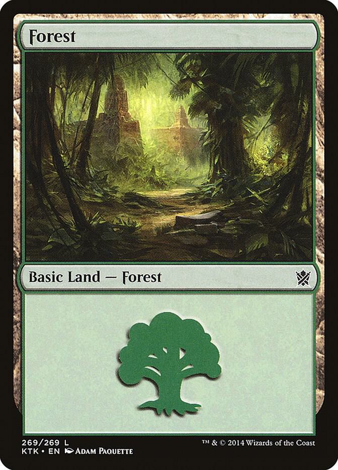 Forest (269)