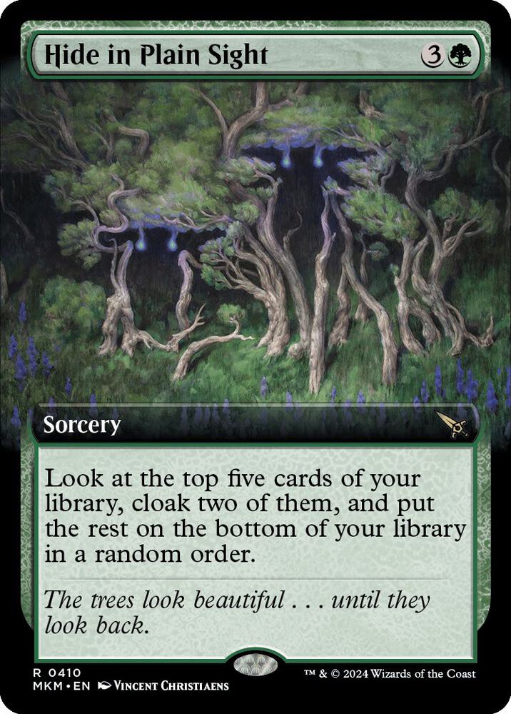 Hide in Plain Sight (Extended Art)