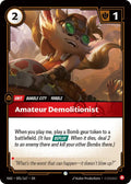 Amateur Demolitionist