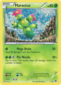 Maractus - 2/12