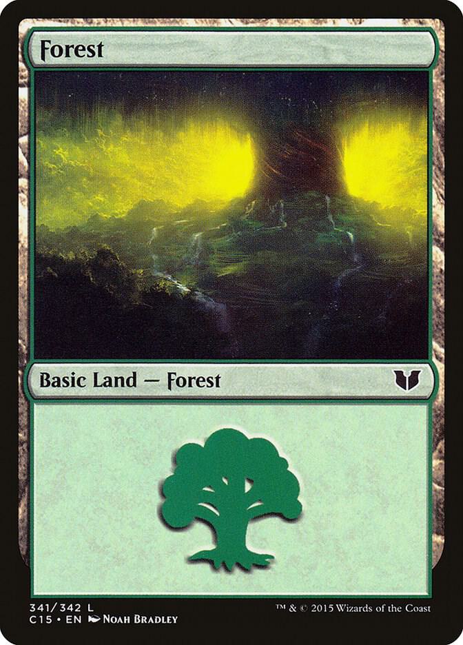 Forest (341)