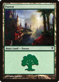 Forest (86)