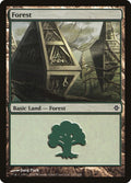 Forest (247)