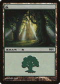 Forest (2007)