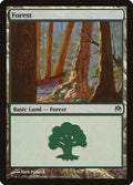 Forest (71)