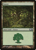Forest (246)