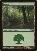 Forest (247)