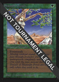 Shanodin Dryads (IE)