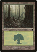 Forest (348)