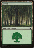 Forest (030) (EVG)