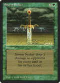 Storm Seeker