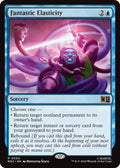 Fantastic Elasticity (Surge Foil)