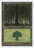 Forest (105)