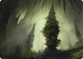 Forest (55/81) Art Card