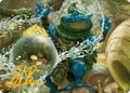 Pond Prophet Art Card (Gold-Stamped Signature)