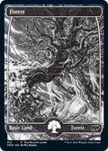 Forest (Moonlit Land) (Foil Etched)