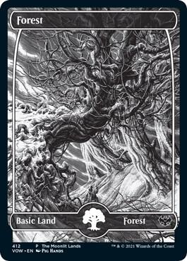 Forest (Moonlit Land) (Foil Etched)