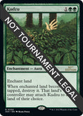 Kudzu