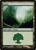 Forest (301)
