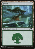 Forest (NEO)