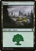 Forest (351)