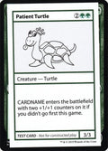 Patient Turtle (No PW Symbol)