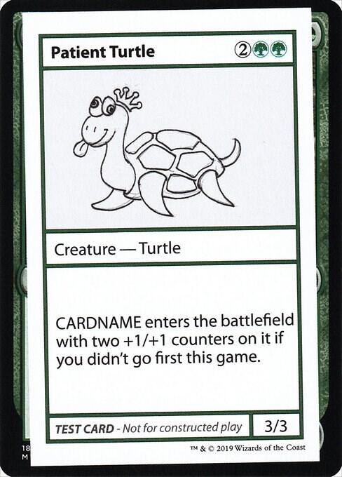 Patient Turtle (No PW Symbol)