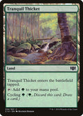 Tranquil Thicket