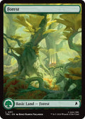Forest (0311)