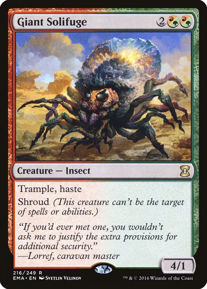Giant Solifuge