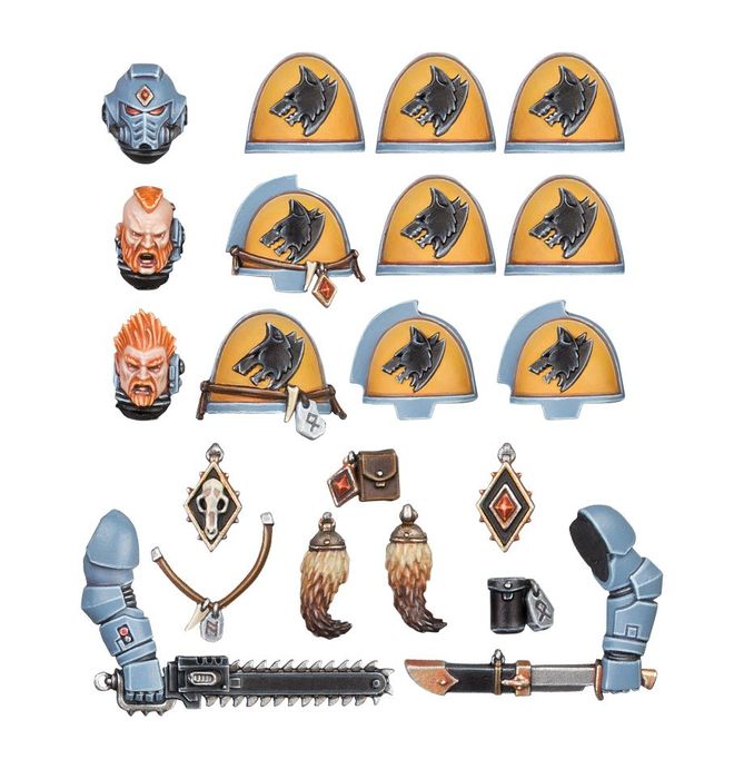 53-25 Space Wolves Primaris Upgrades