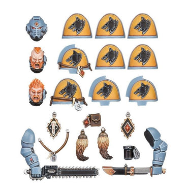 53-25 Space Wolves Primaris Upgrades