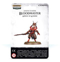 97-62 Bloodmaster, Herald of Khorne
