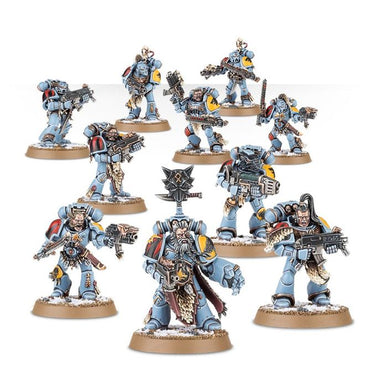 53-06 Space Wolves Grey Hunters